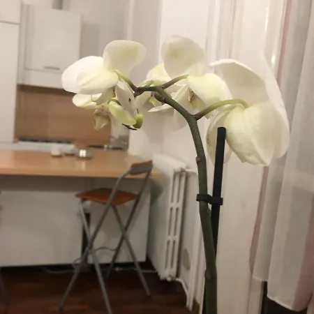 Romantica Darsena Apartment Milan